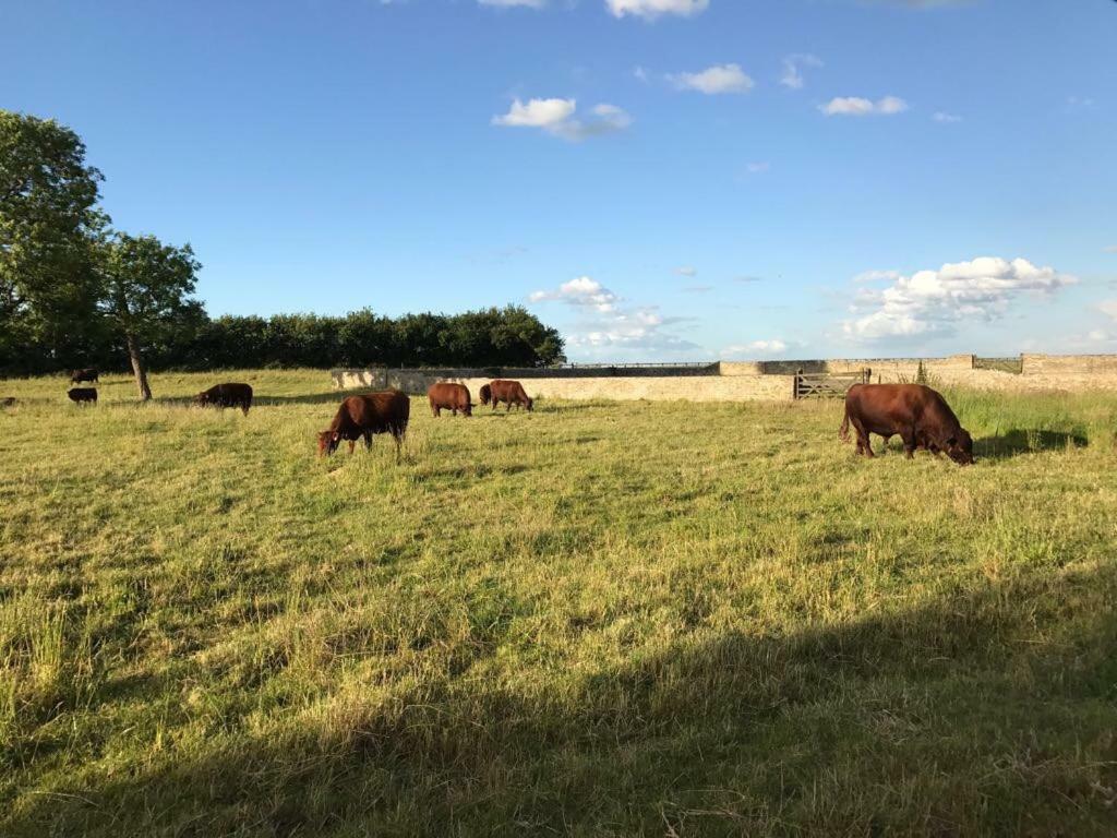 Cambridge Country Cottages Екстериор снимка